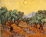 Vincent van Gogh Olive Trees 1889 painting